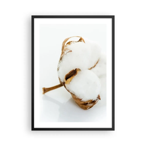 Poster in einem schwarzem Rahmen - Eine Nahaufnahme eines Baumwollzweigs mit zarten weißen Fasern. - 50x70cm - Von Natur aus weich - Moderne Wanddekoration für Wohnzimmer und Schlafzimmer ARTTOR