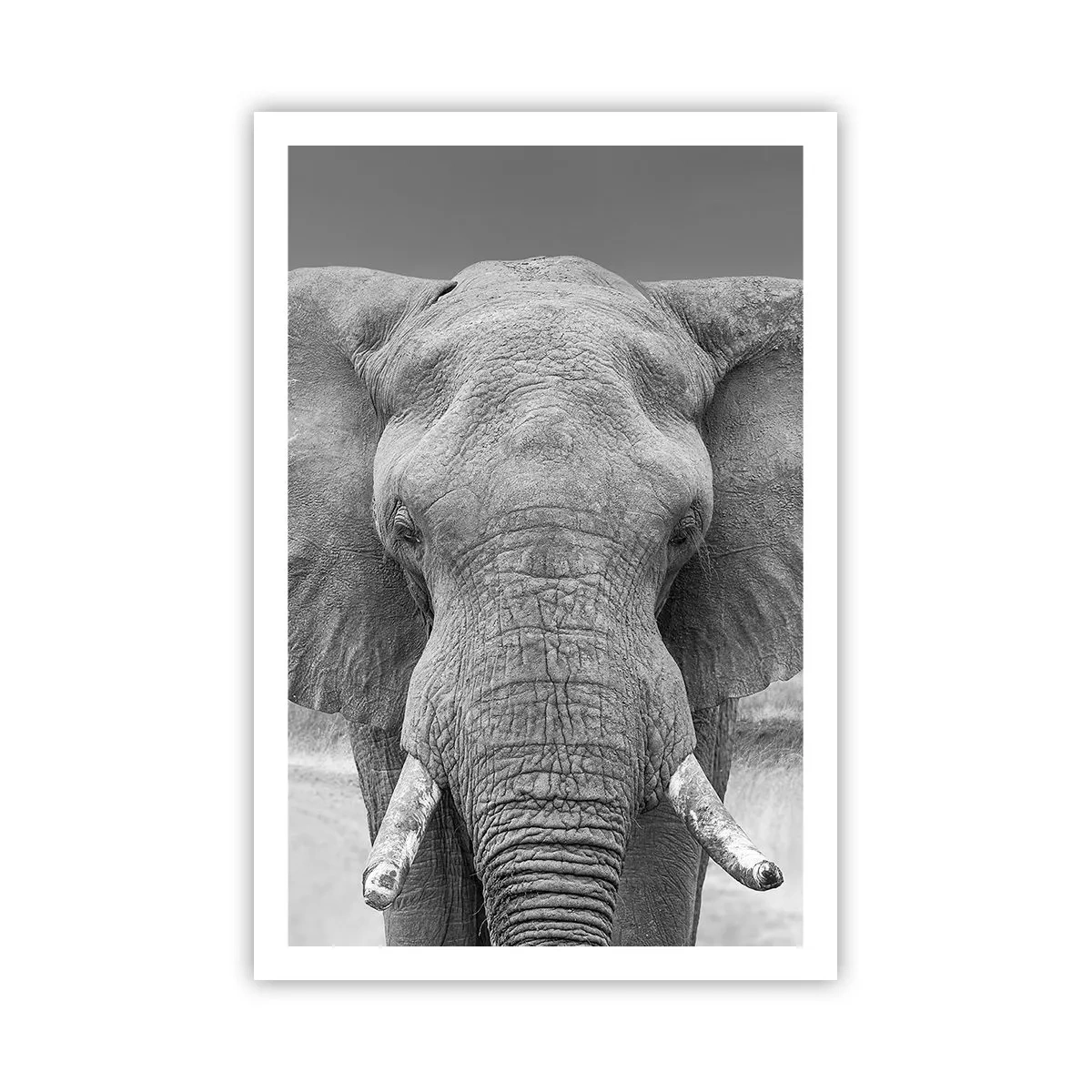 Poster - Willkommen in meiner Welt - 61x91 cm