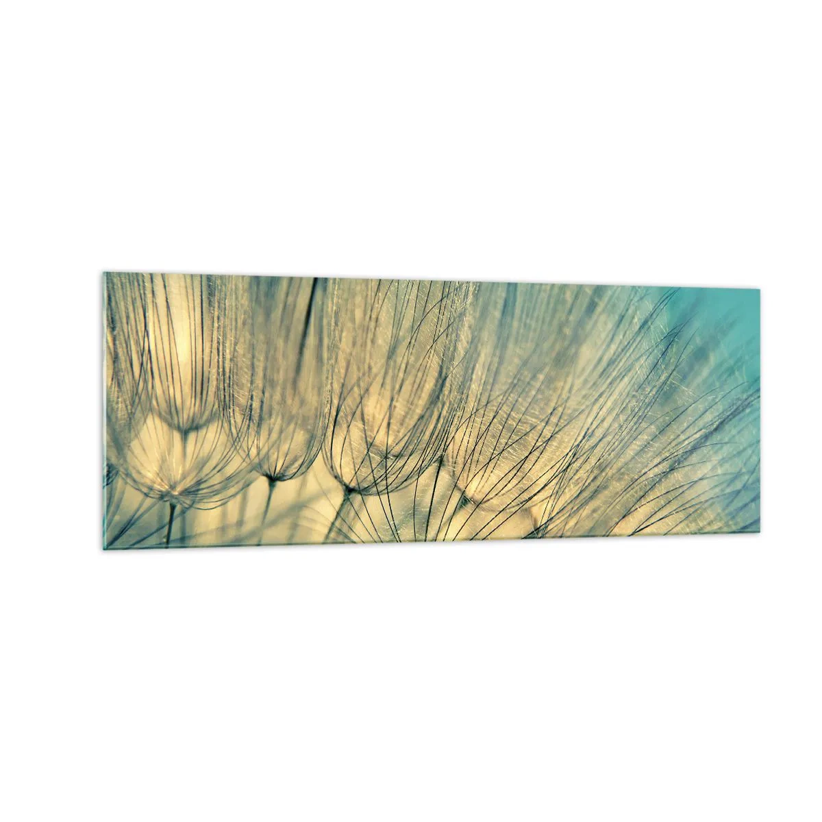 Glasbild - Bild auf glas - Makrofotografie von Löwenzahn bei Tageslicht - 140x50cm - In Erwartung des Windes - Moderne Wanddekoration für Wohnzimmer und Schlafzimmer ARTTOR