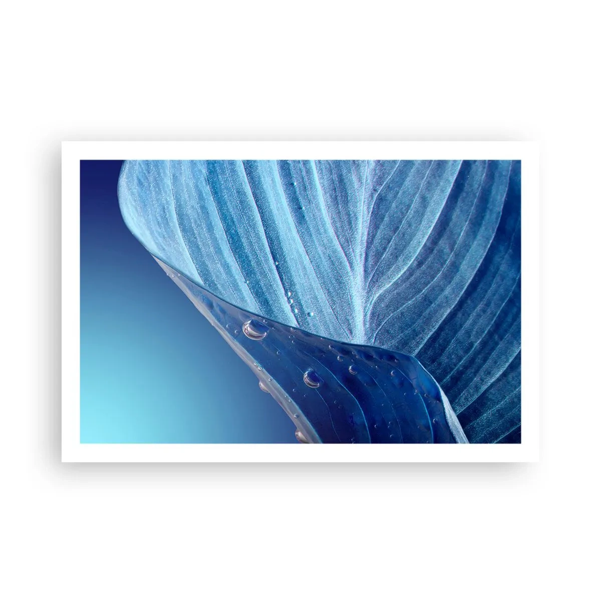 Poster - Versteckte Tropfen vom Blau - 91x61 cm