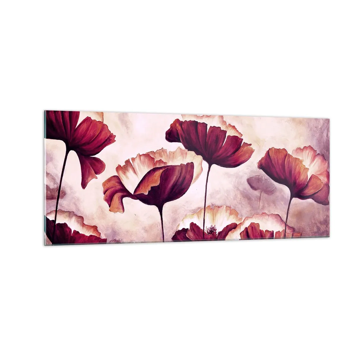 Glasbild - Bild auf glas - Rotes und weißes Blütenblatt - 100x40 cm