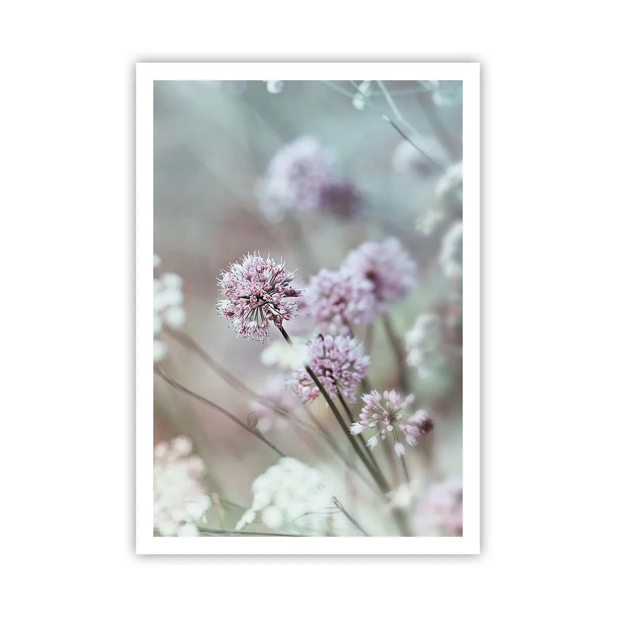 Poster - Süße filigrane Kräuter - 70x100 cm