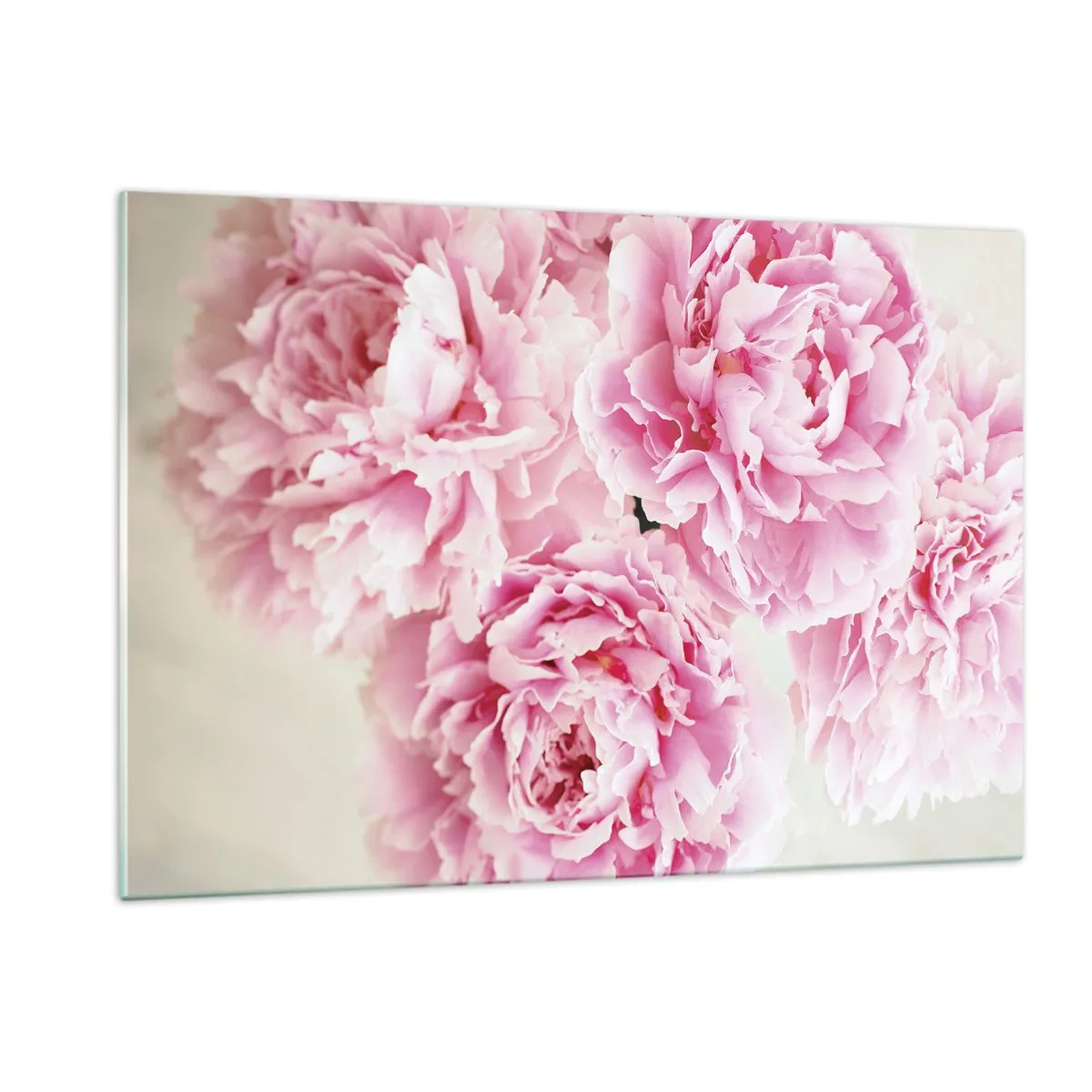 Glasbild - Bild auf glas - Ein Strauß voller rosa Pfingstrosen auf hellem Hintergrund - 120x80cm - In rosa Glamour - Moderne Wanddekoration für Wohnzimmer und Schlafzimmer ARTTOR