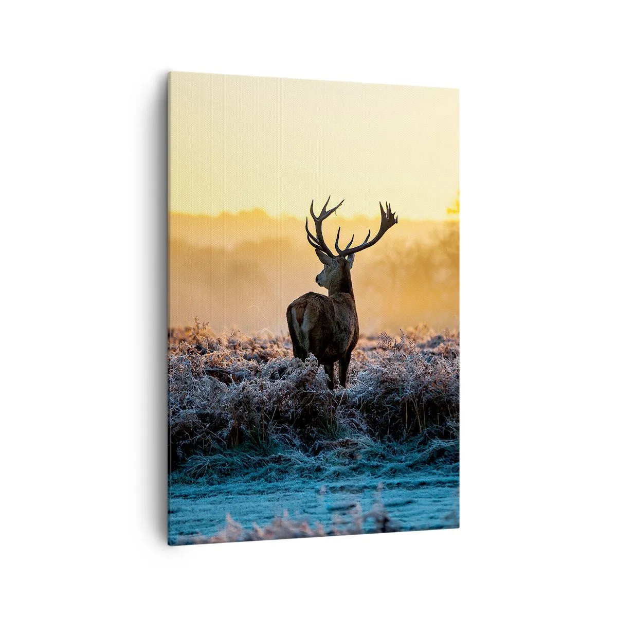 Bild auf Leinwand - Leinwandbild - Ein Reh auf einer frostigen Lichtung bei Sonnenaufgang - 70x100cm - Gekrönt auf seinem Besitz - Moderne Wanddekoration für Wohnzimmer und Schlafzimmer ARTTOR