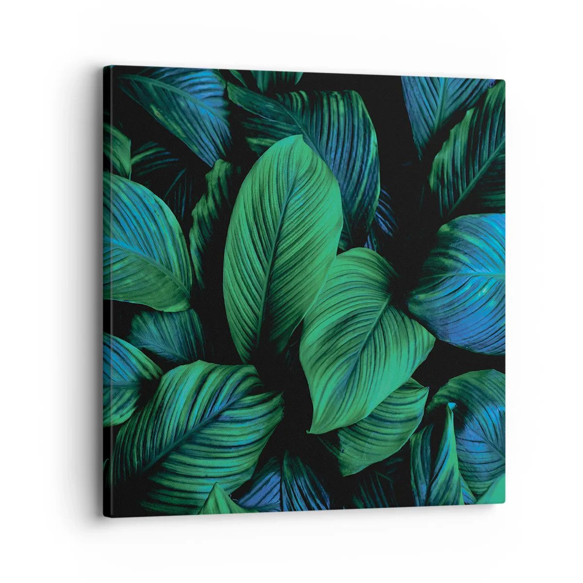 Bild auf Leinwand - Leinwandbild - In der grünen Menge - 30x30 cm