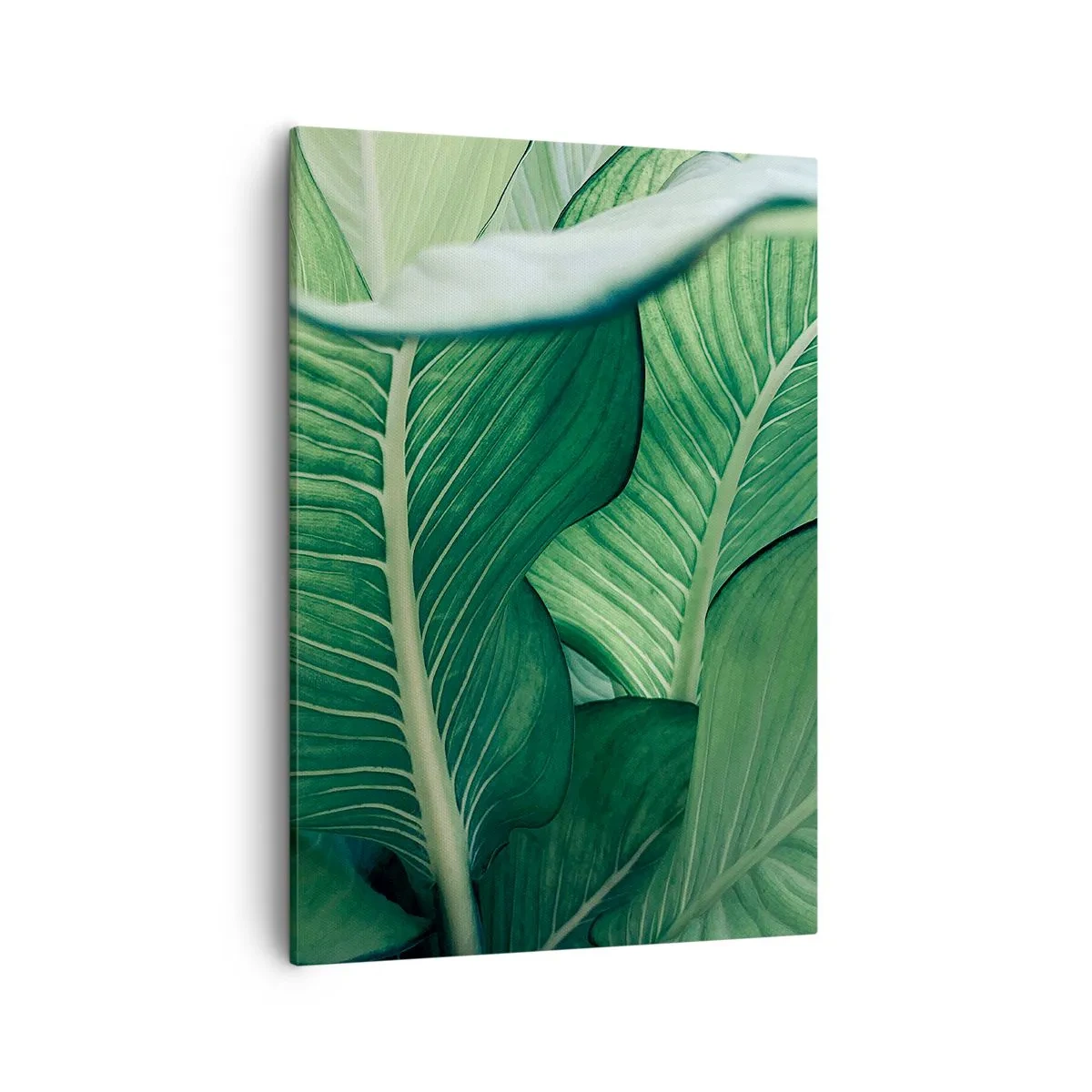 Bild auf Leinwand - Leinwandbild - Grüne Blätter mit ausdrucksstarken Details und Struktur - 50x70cm - Intensiv grünes Leben - Moderne Wanddekoration für Wohnzimmer und Schlafzimmer ARTTOR