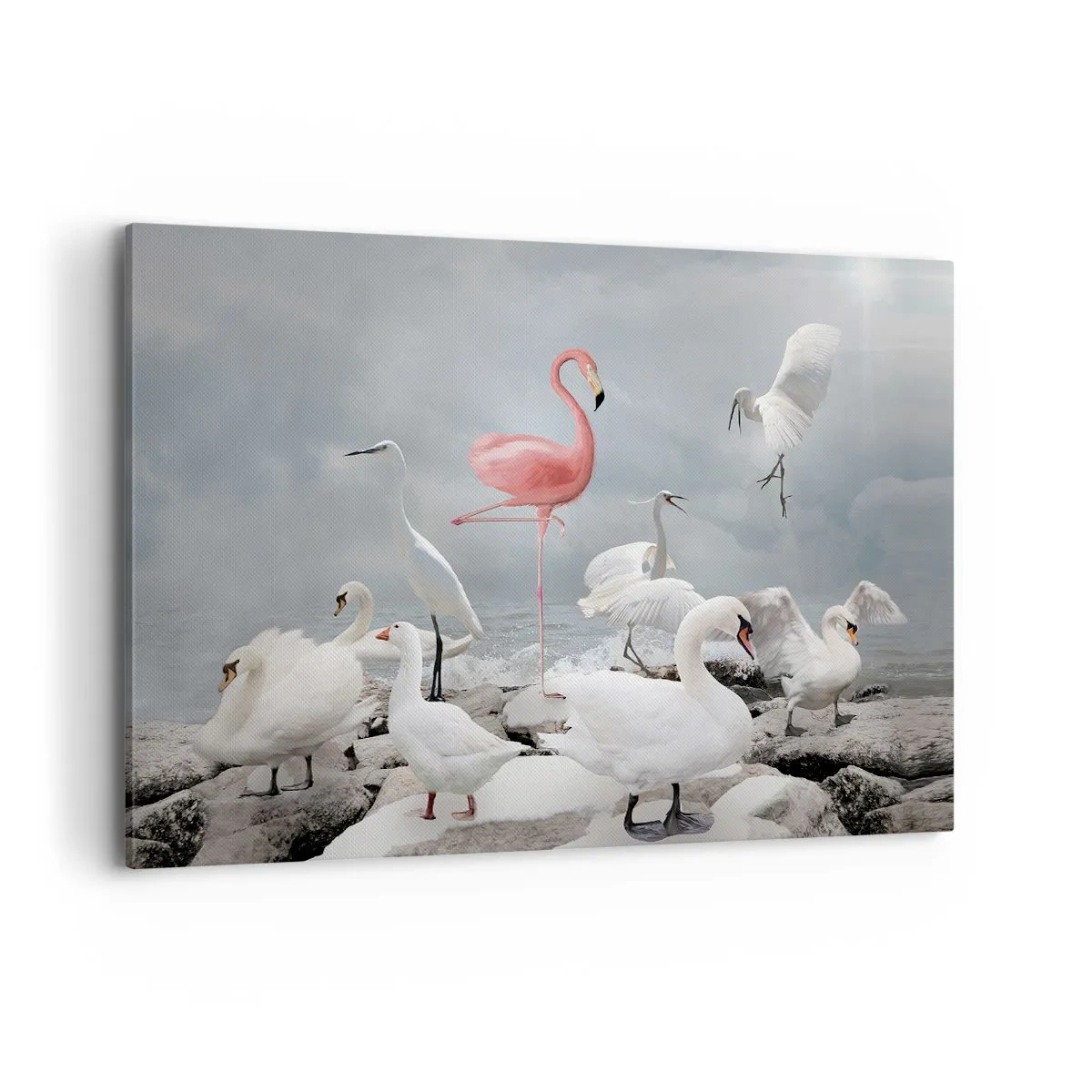 Bild auf Leinwand - Leinwandbild - Ein rosa Flamingo zwischen weißen Schwänen vor der Kulisse eines Sees - 120x80cm - Wie kam ich hier hin? - Moderne Wanddekoration für Wohnzimmer und Schlafzimmer ARTTOR