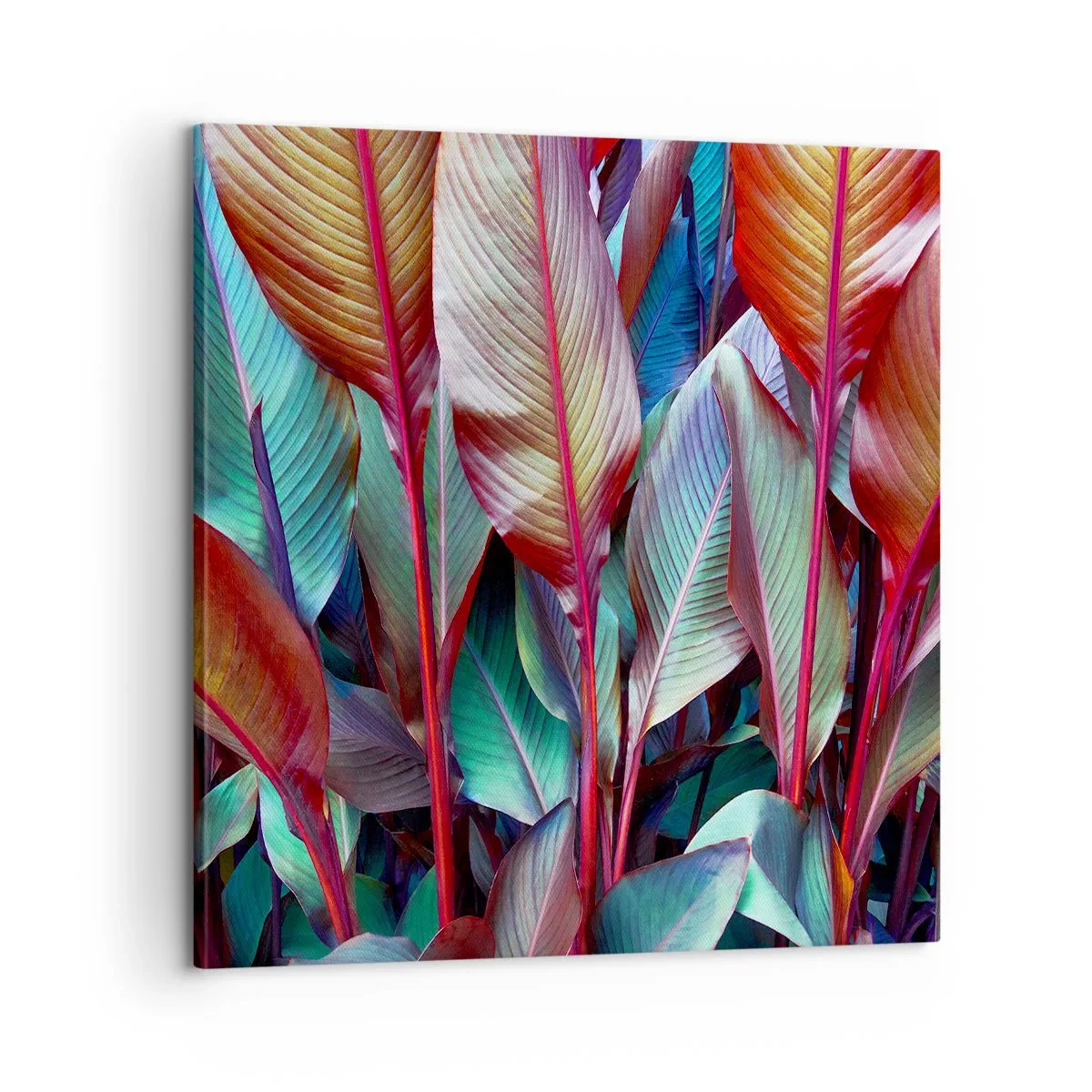 Bild auf Leinwand - Leinwandbild - Buntes Dickicht - 60x60 cm