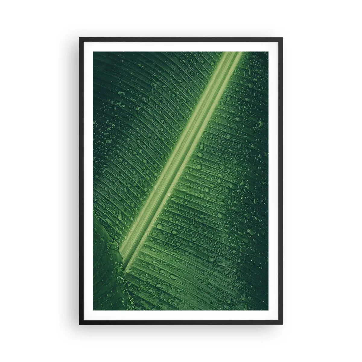 Poster in einem schwarzem Rahmen - Die Struktur des Grüns - 70x100 cm