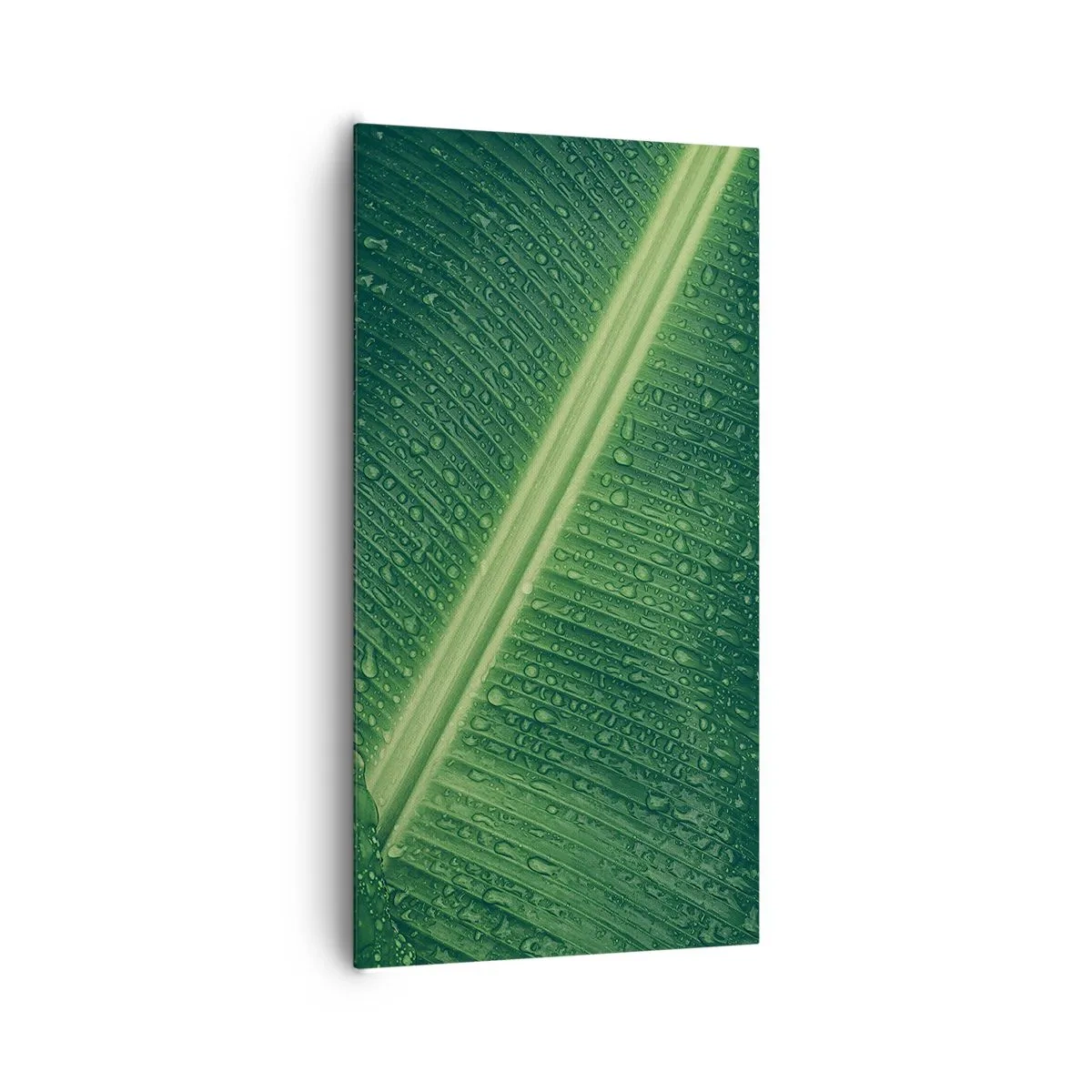 Bild auf Leinwand - Leinwandbild - Die Struktur des Grüns - 65x120 cm