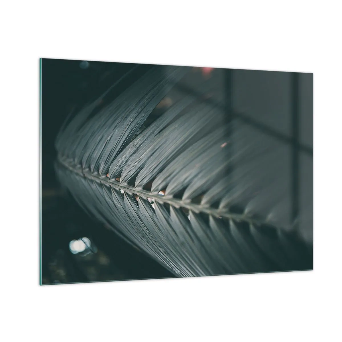 Glasbild - Bild auf glas - Nahaufnahme eines dunkelgrünen Palmblattes mit Lichtreflexion - 100x70cm - Die Präzision der Natur - Moderne Wanddekoration für Wohnzimmer und Schlafzimmer ARTTOR