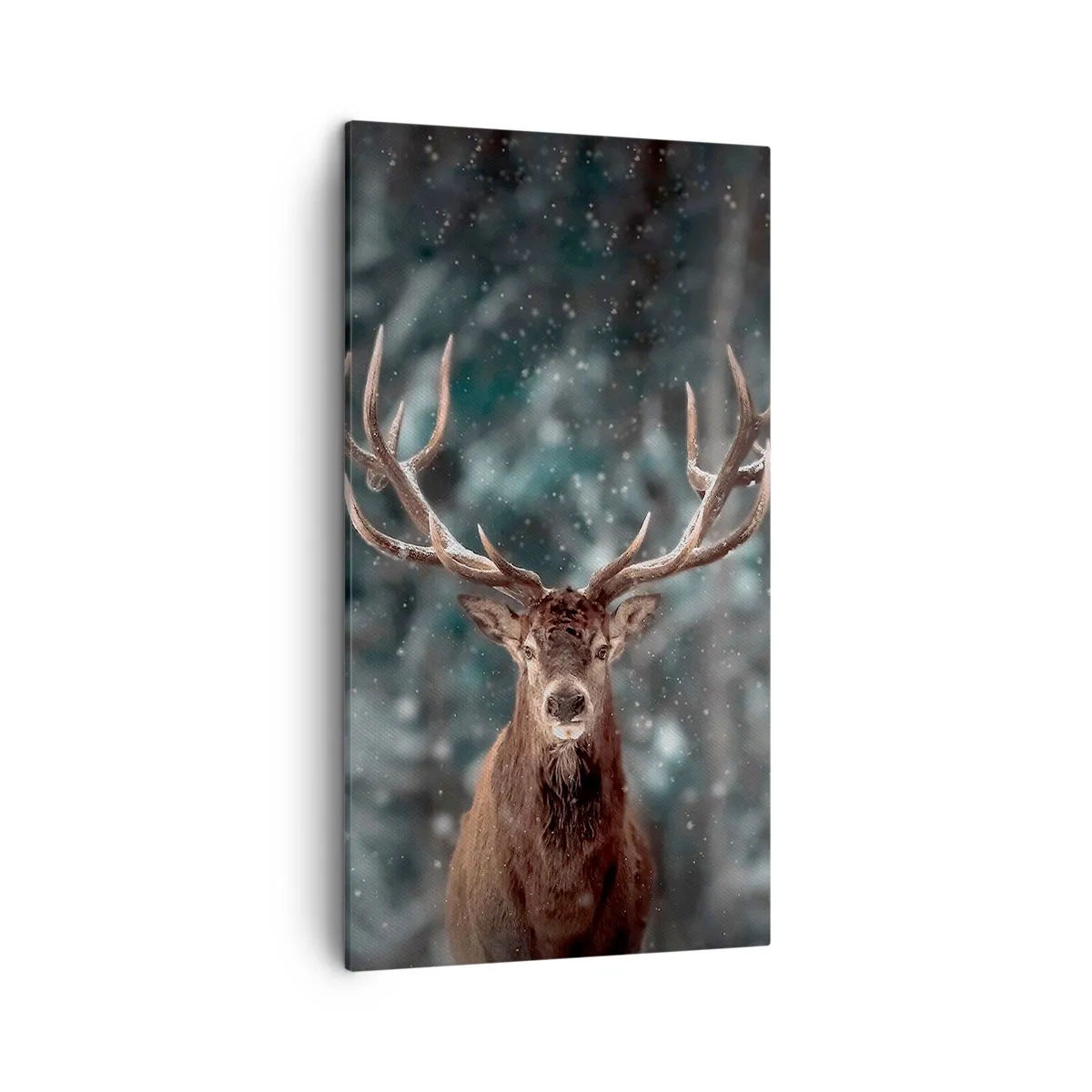 Bild auf Leinwand - Leinwandbild - Gekrönter König des Waldes - 45x80 cm