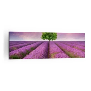 Bild auf Leinwand - Leinwandbild - Ein Lavendelfeld mit einem einsamen Baum und einem violetten Himmel - 160x50cm - Auf Lavendelfeldern - Moderne Wanddekoration für Wohnzimmer und Schlafzimmer ARTTOR