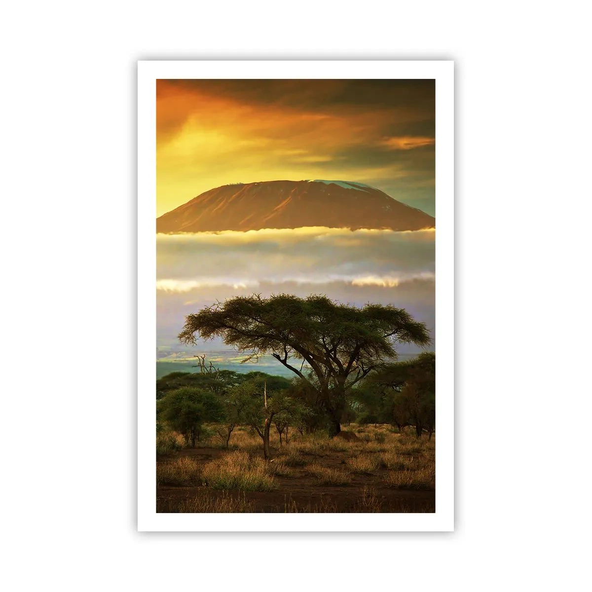 Poster - Ein Reisetraum - 61x91 cm