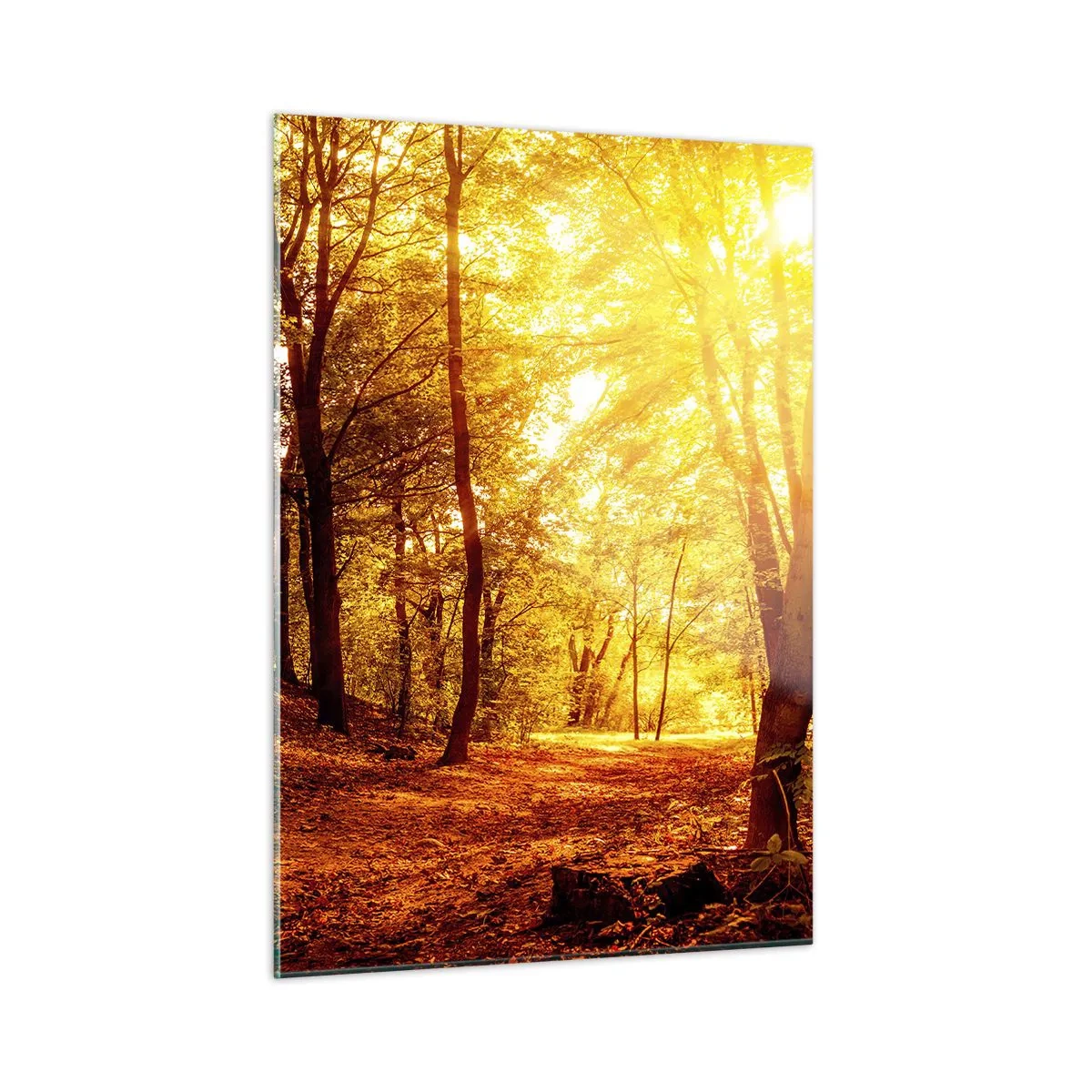Glasbild - Bild auf glas - Herbstwald, beleuchtet vom warmen Schein der Sonne - 50x70cm - Auf die goldene Lichtung - Moderne Wanddekoration für Wohnzimmer und Schlafzimmer ARTTOR