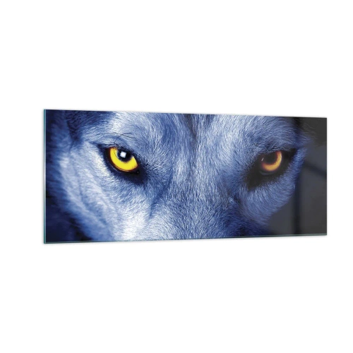 Glasbild - Bild auf glas - Faszinierender Blick - 100x40 cm