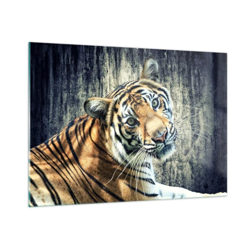 Glasbild - Bild auf glas - Ein Tiger in natürlicher Pose vor einer rohen Wand - 100x70cm - Portrait in Lichtstrahlen - Moderne Wanddekoration für Wohnzimmer und Schlafzimmer ARTTOR
