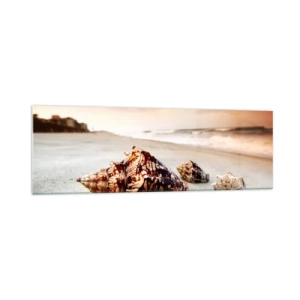 Glasbild - Bild auf glas - Muscheln am Strand bei Sonnenuntergang - 160x50cm - Ausgestoßene von Wellen - Moderne Wanddekoration für Wohnzimmer und Schlafzimmer ARTTOR