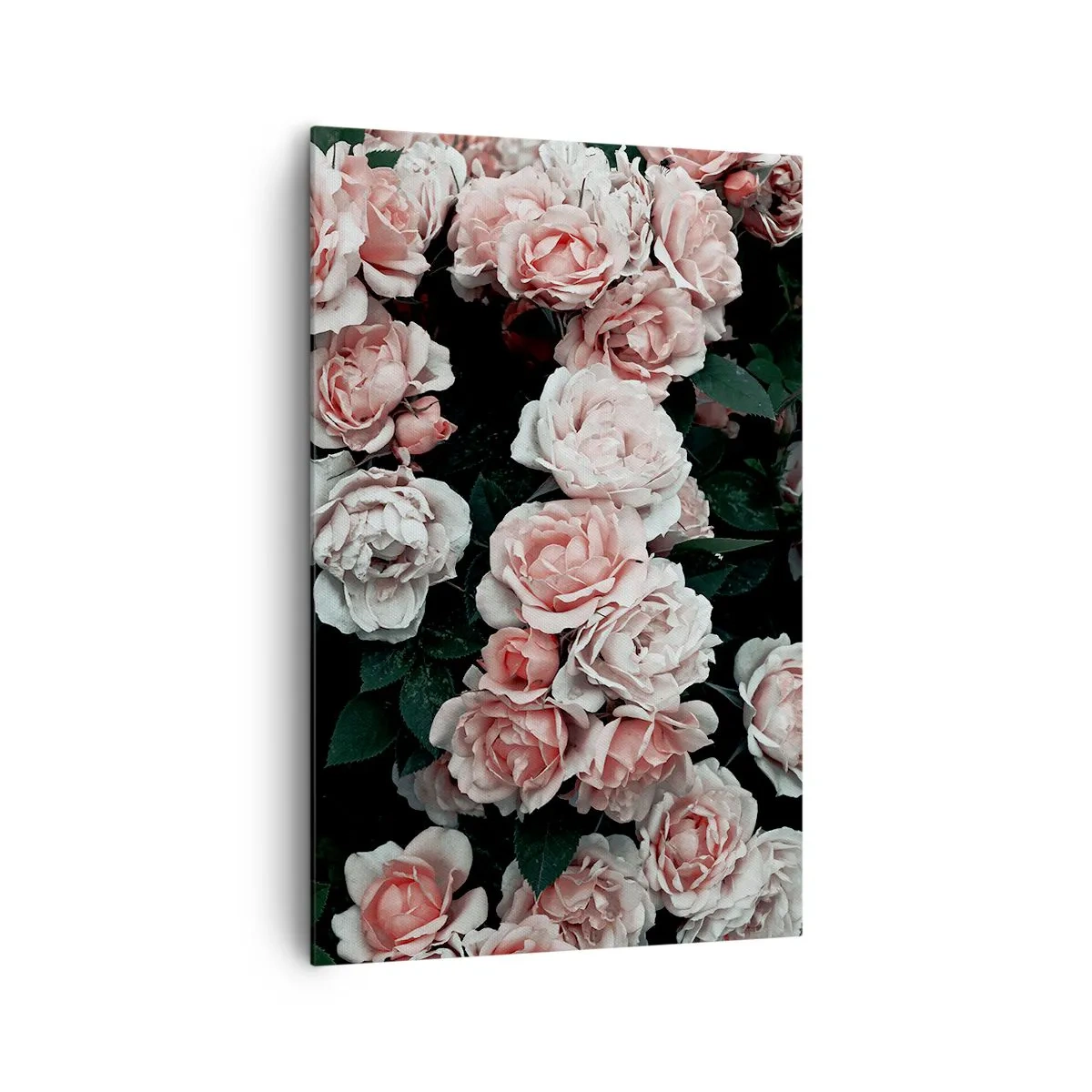 Bild auf Leinwand - Leinwandbild - Rosa Rosen auf dunklem Hintergrund in einer subtilen Komposition - 80x120cm - Rosen-Ensemble - Moderne Wanddekoration für Wohnzimmer und Schlafzimmer ARTTOR