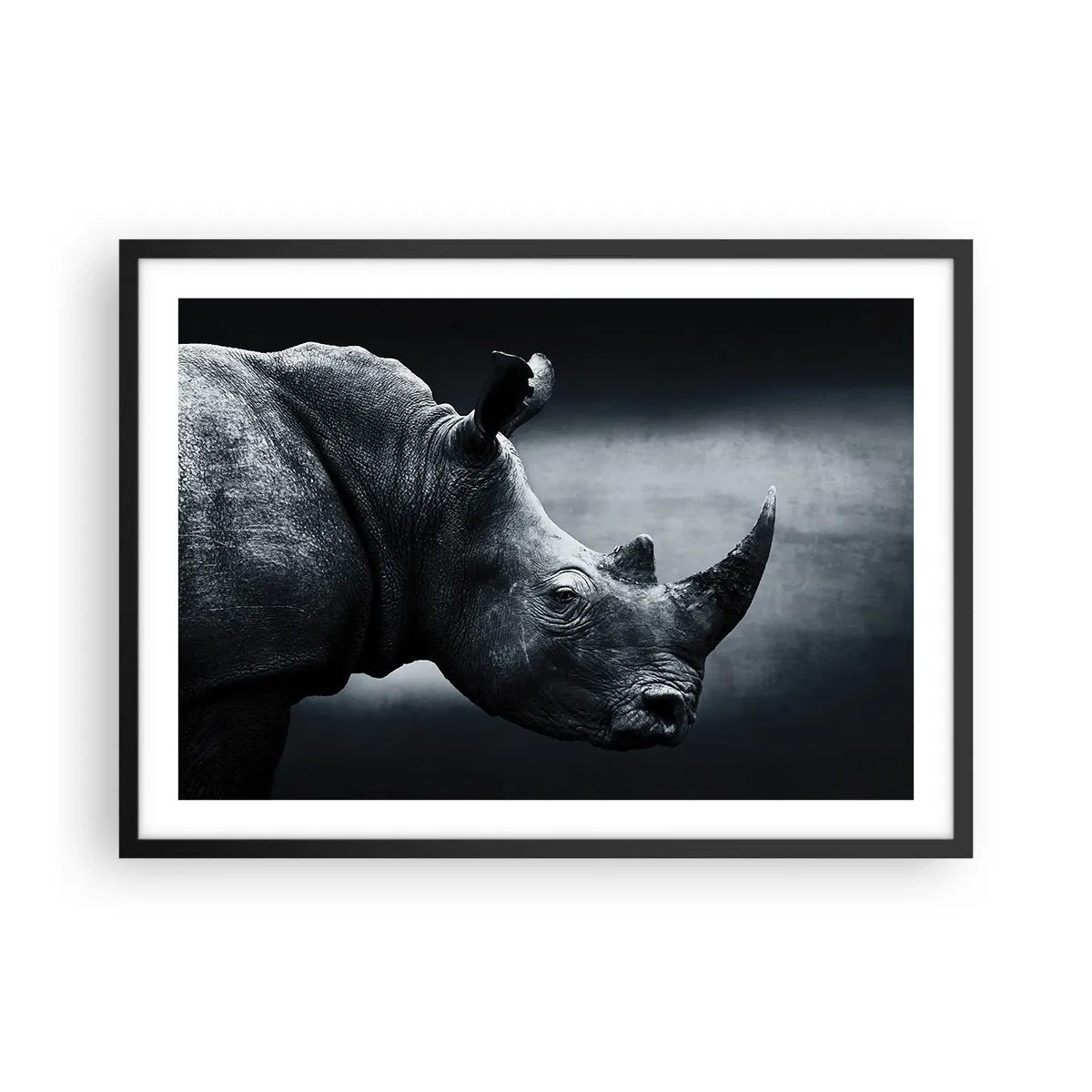 Poster in einem schwarzem Rahmen - Schwarz-Weiß-Porträt eines Nashorns vor dunklem Hintergrund - 70x50cm - Richtiges Profil - Moderne Wanddekoration für Wohnzimmer und Schlafzimmer ARTTOR