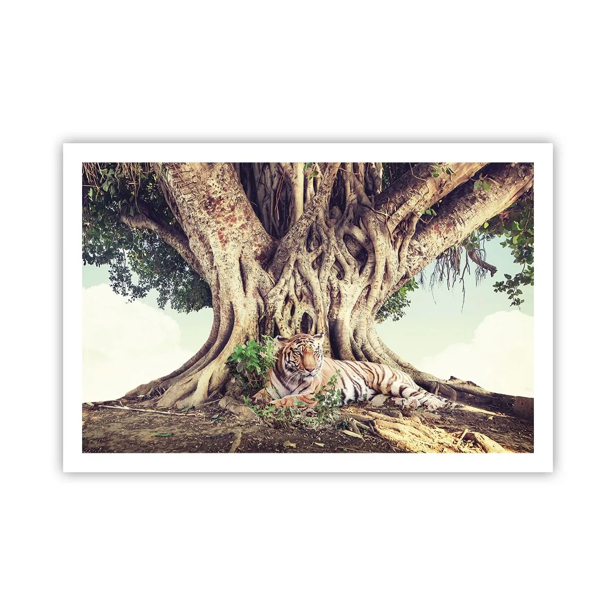 Poster - Blick aus dem Buch Genesis - 91x61 cm