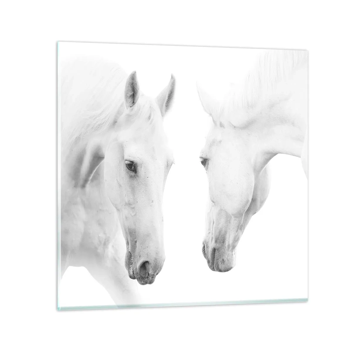 Glasbild - Bild auf glas - Ist das Freundschaft...? - 30x30 cm