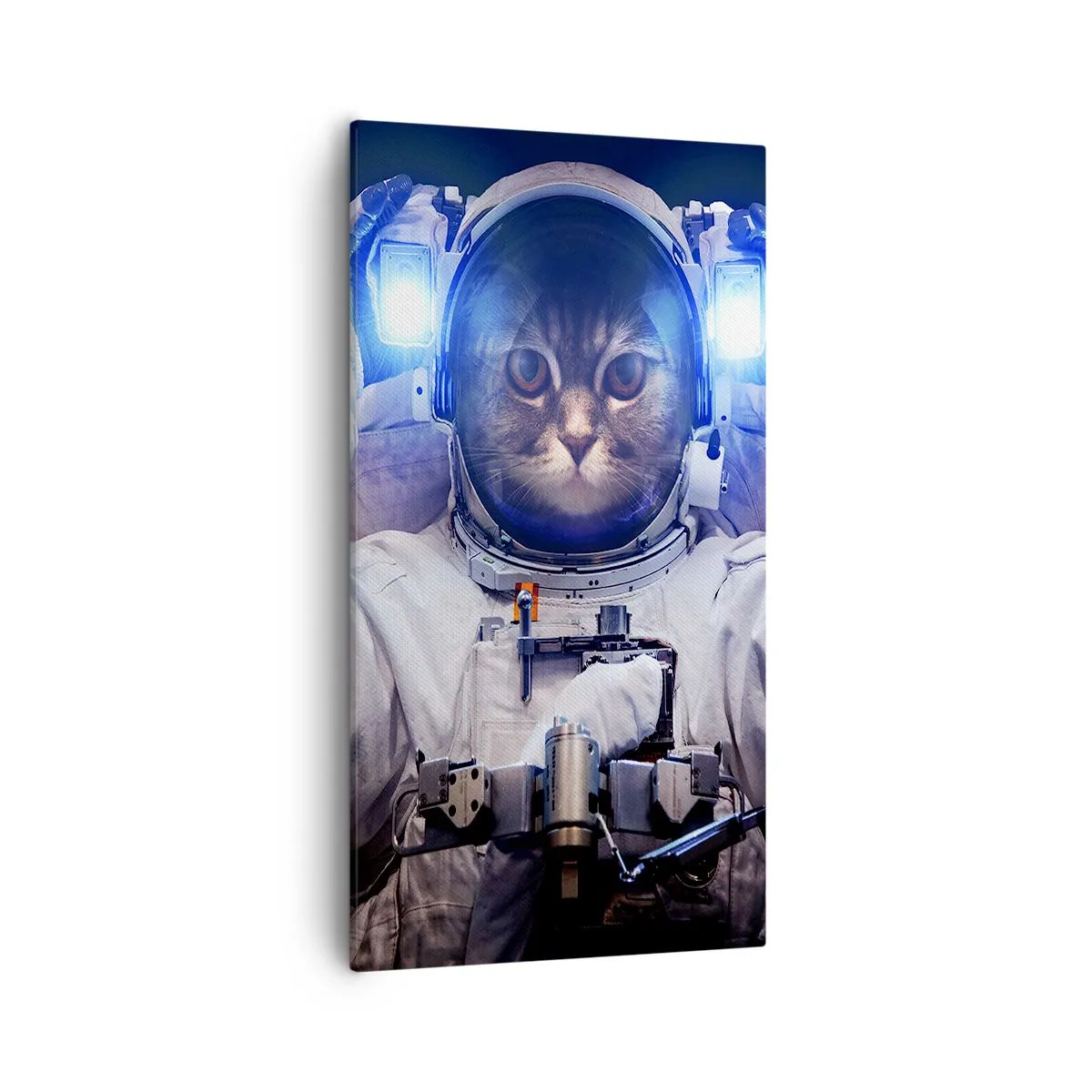 Bild auf Leinwand - Leinwandbild - Houston, du hast ein Problem - 55x100 cm