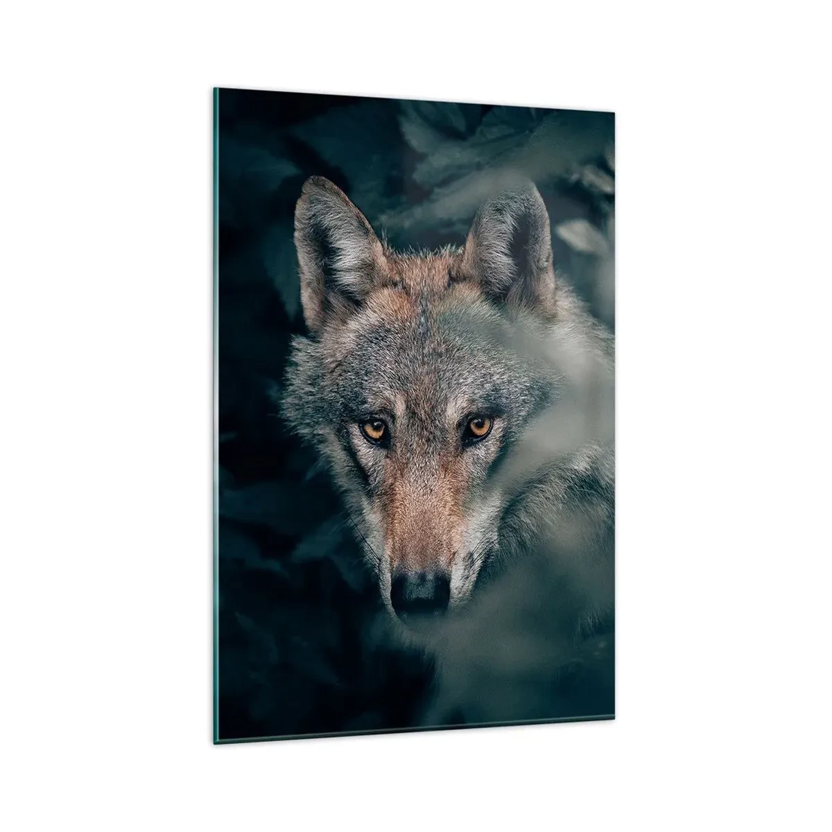 Glasbild - Bild auf glas - Ein Wolf in seiner natürlichen Umgebung, der aus den Tiefen des Waldes hervorschaut. - 80x120cm - Jäger - Moderne Wanddekoration für Wohnzimmer und Schlafzimmer ARTTOR