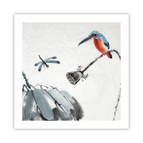 Poster - Das Leben der Wiese - 50x50 cm