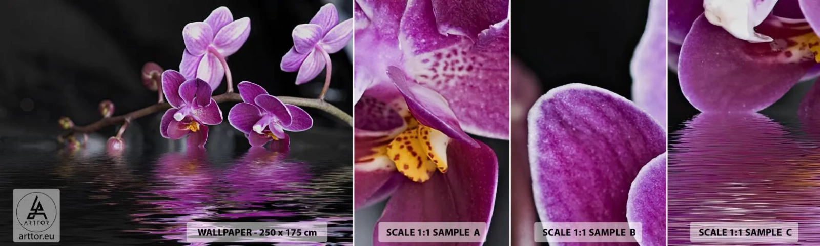 Fototapetenmuster Standard Eco - Lila Spiegelbild der Schönheit - Blumen, Orchidee, Natur - 100x30 cm