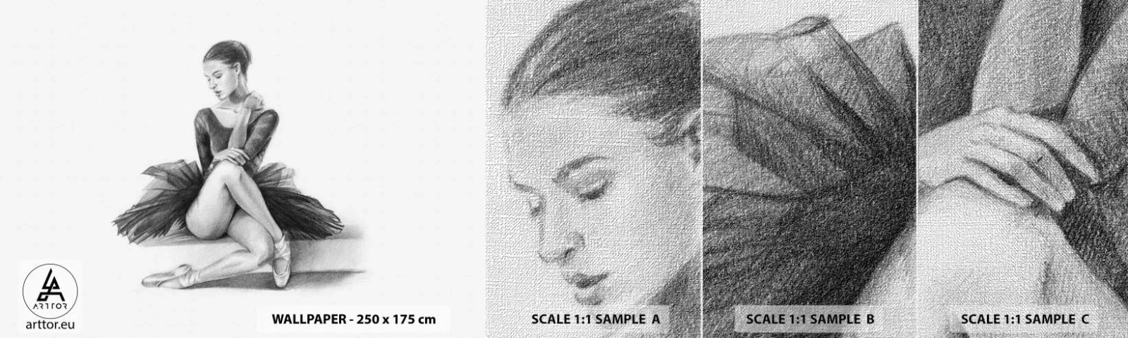 Fototapeten Muster Premium Canvas - Vom Tanz verzaubert - Ballerina, Tanzen, Ballett - 100x30 cm