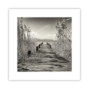 Poster - In der Stille des Grases - 30x30 cm