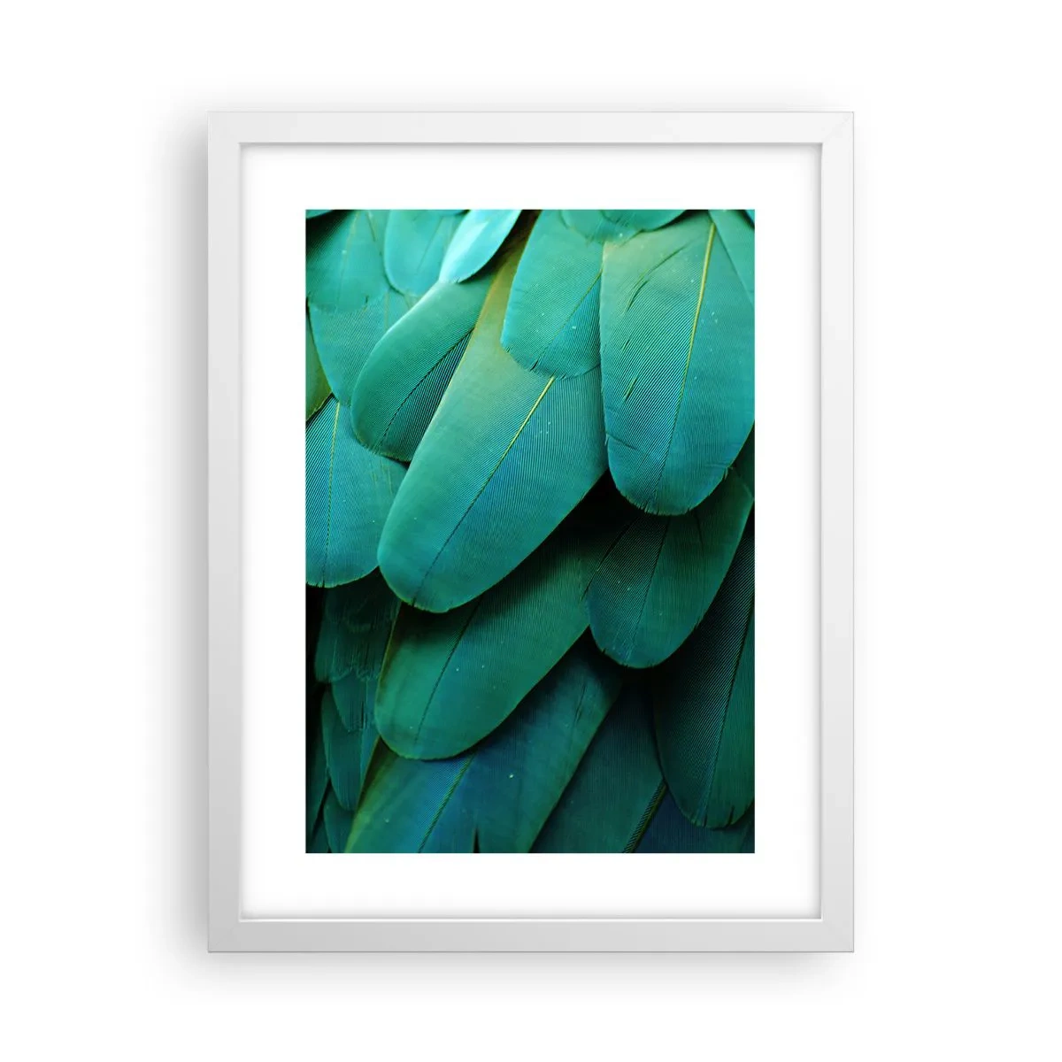 Poster in einem weißen Rahmen - Papageienartige Präzision - 30x40 cm