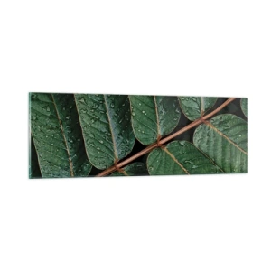 Glasbild - Bild auf glas - Im grünen Rhythmus - 90x30 cm