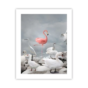 Poster - Wie kam ich hier hin? - 40x50 cm