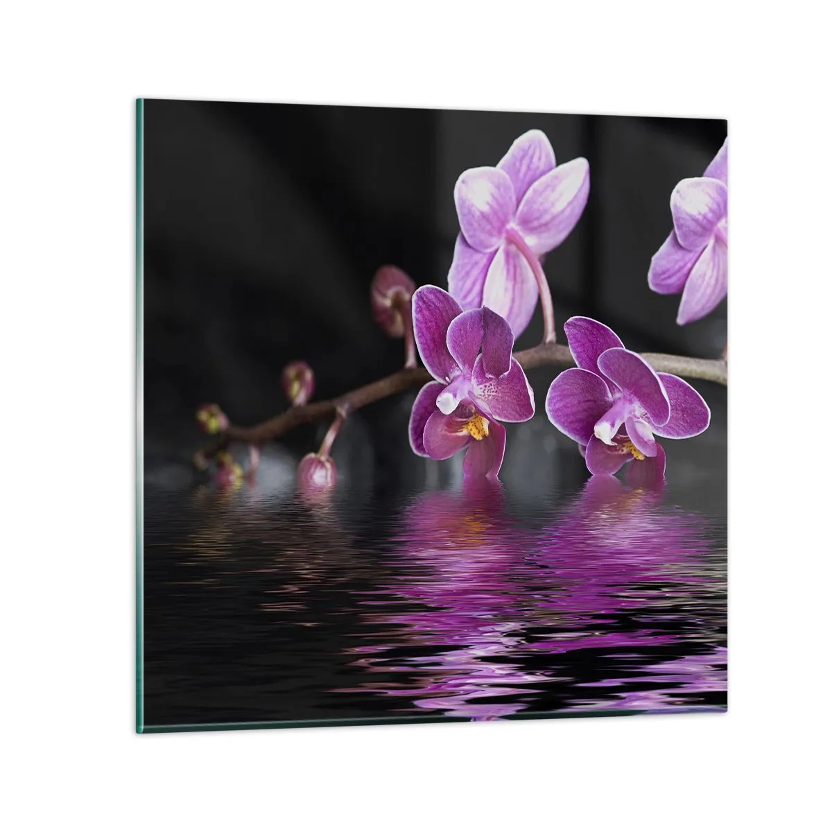 Glasbild - Bild auf glas - Lila Spiegelbild der Schönheit - 30x30 cm
