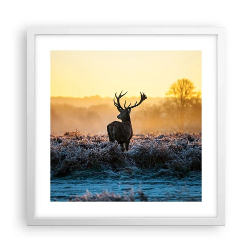 Poster in einem weißen Rahmen - Gekrönt auf seinem Besitz - 40x40 cm