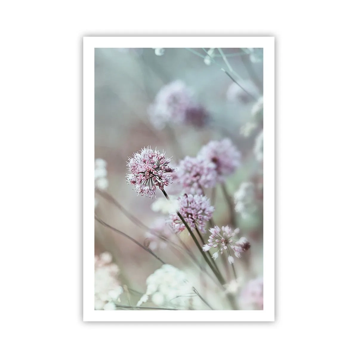 Poster - Süße filigrane Kräuter - 61x91 cm