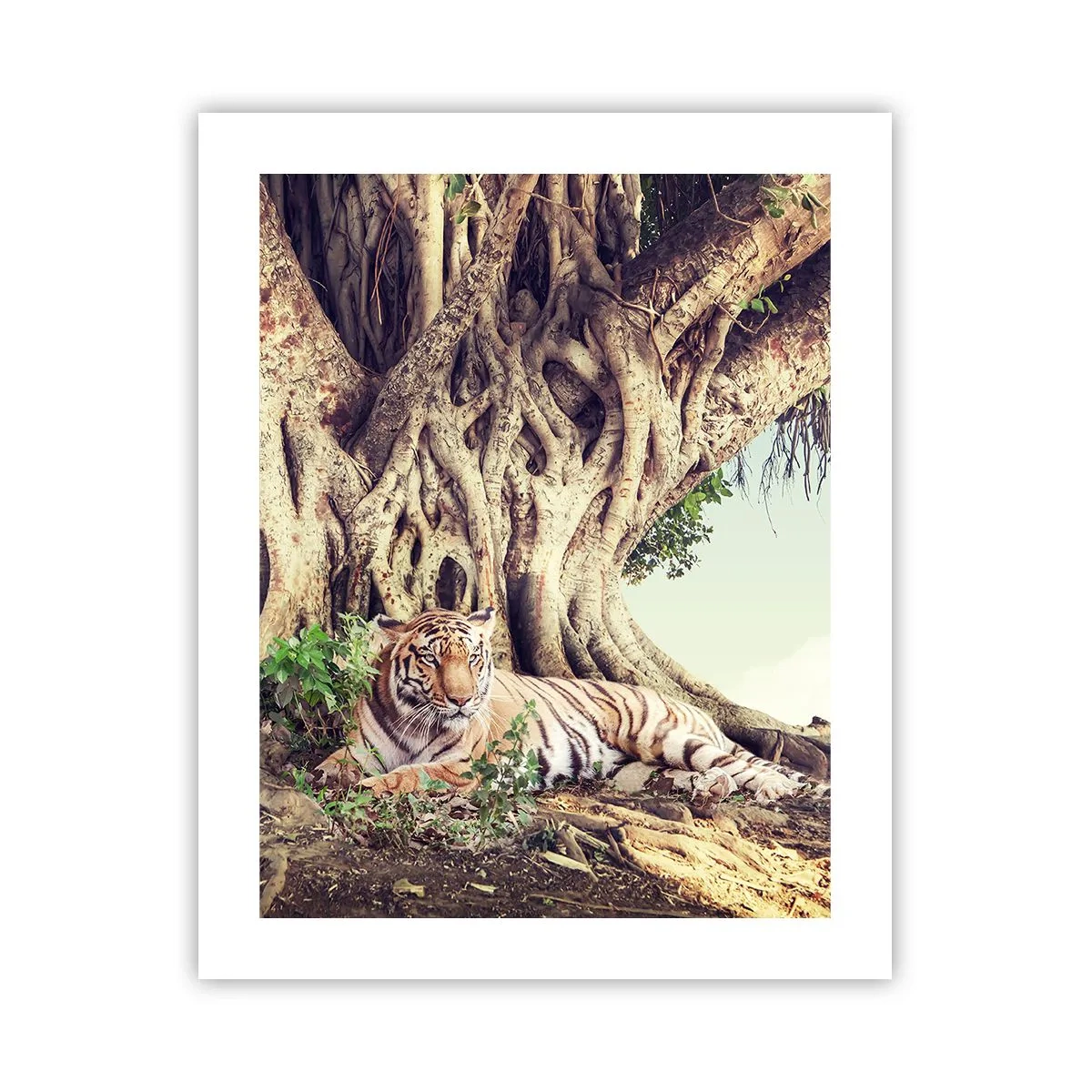 Poster - Blick aus dem Buch Genesis - 40x50 cm