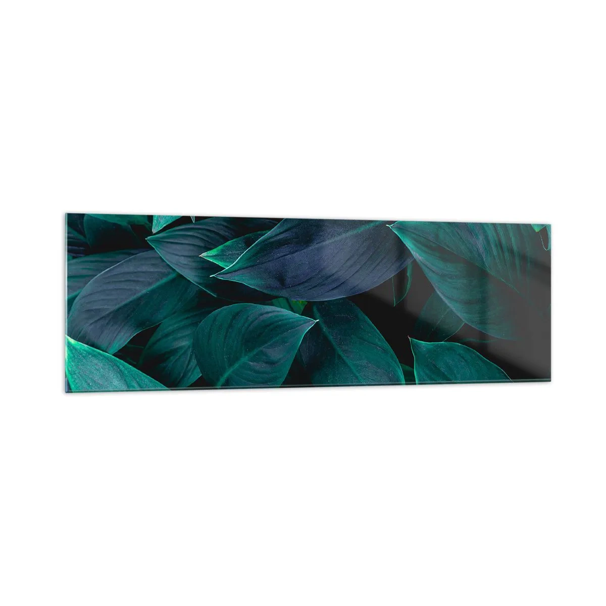 Glasbild - Bild auf glas - Nahaufnahme von grünen Blättern mit dunklem Hintergrund - 160x50cm - Grün in sich selbst - Moderne Wanddekoration für Wohnzimmer und Schlafzimmer ARTTOR