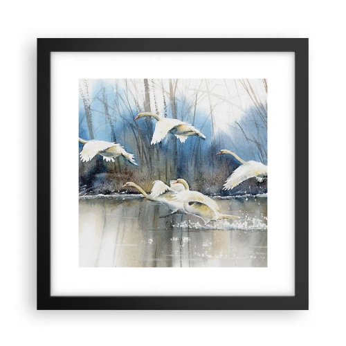 Poster in einem schwarzem Rahmen - Wie im Märchen von den wilden Schwänen - 30x30 cm