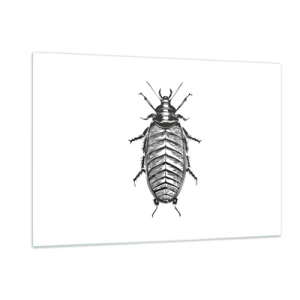 Glasbild - Bild auf glas - Schwarz-Weiß-Darstellung eines Insekts auf weißem Hintergrund - 120x80cm - Was für ein Exemplar! - Moderne Wanddekoration für Wohnzimmer und Schlafzimmer ARTTOR