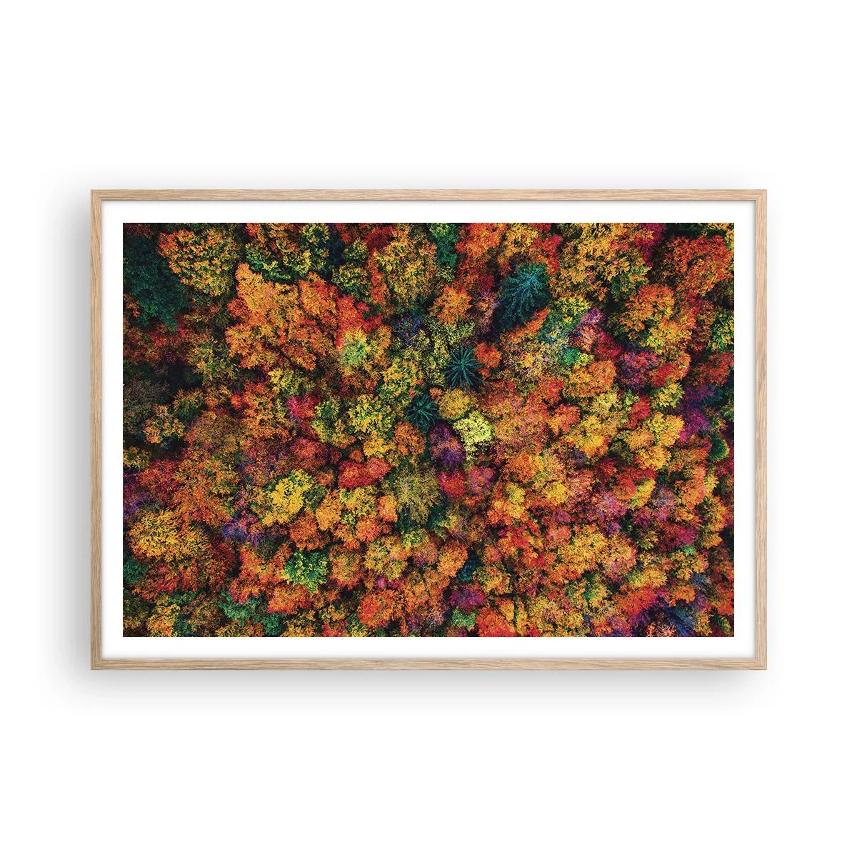 Poster in einem Rahmen aus heller Eiche - Blumenstrauß aus Herbstbäumen - 100x70 cm