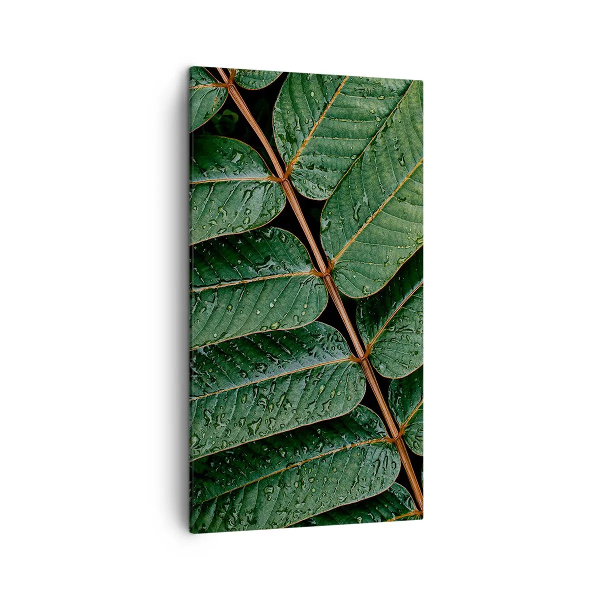 Bild auf Leinwand - Leinwandbild - Im grünen Rhythmus - 45x80 cm