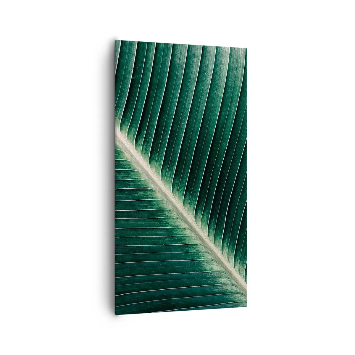 Bild auf Leinwand - Leinwandbild - Rhythmus der Natur - 65x120 cm