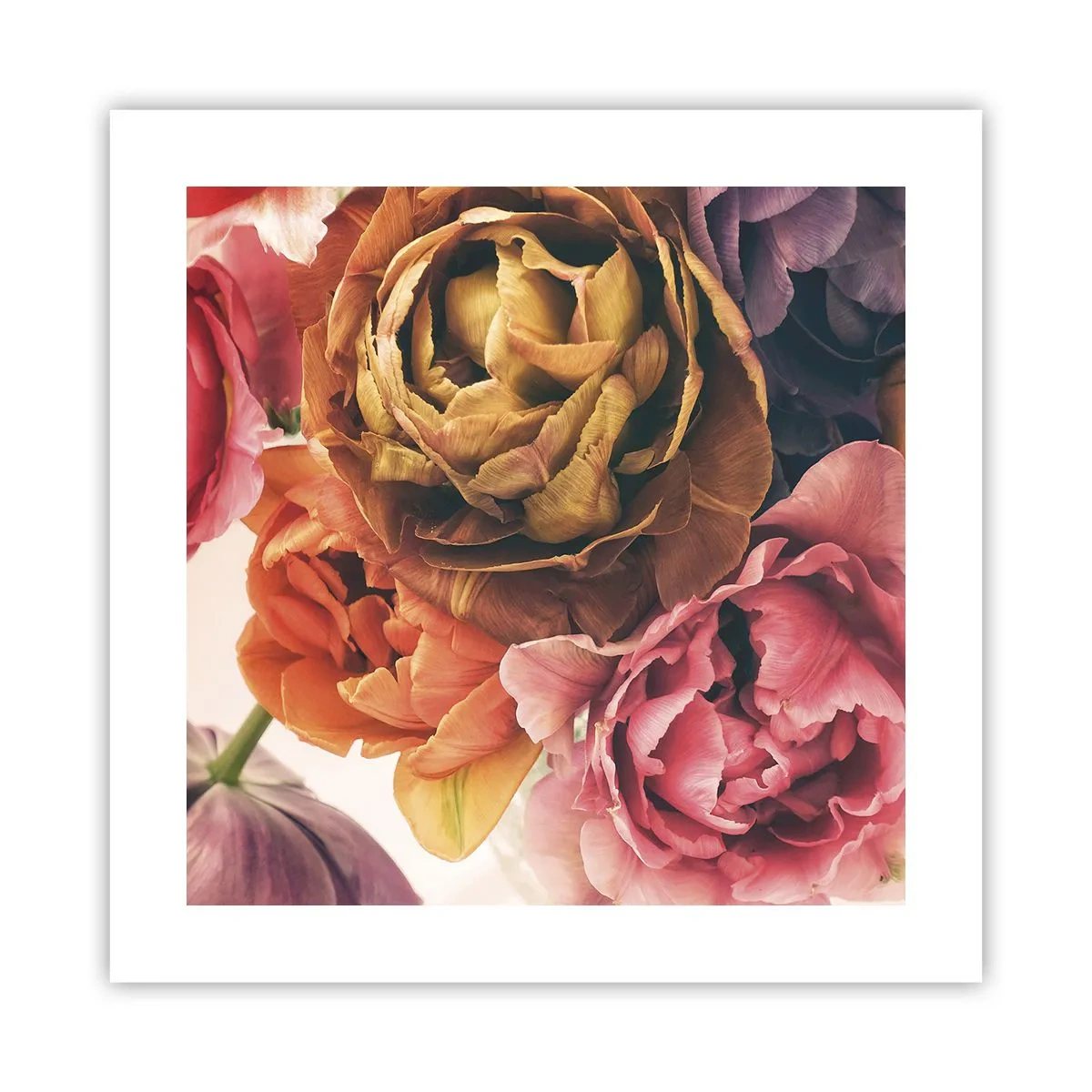 Poster - Eine Feier des Lebens - 40x40 cm