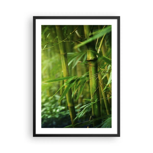 Poster in einem schwarzem Rahmen - Ein Bambushain in Grüntönen - 50x70cm - Lerne Grün selbst kennen - Moderne Wanddekoration für Wohnzimmer und Schlafzimmer ARTTOR