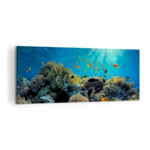 Bild auf Leinwand - Leinwandbild - Korallenriff mit Fischen in den Sonnenstrahlen unter Wasser - 120x50cm - Unterwasserschätze - Moderne Wanddekoration für Wohnzimmer und Schlafzimmer ARTTOR