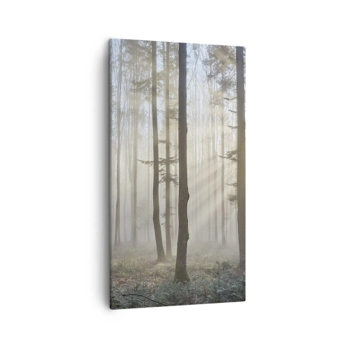 Bild auf Leinwand - Leinwandbild - Der Nebel ist auch aufgewacht - 45x80 cm