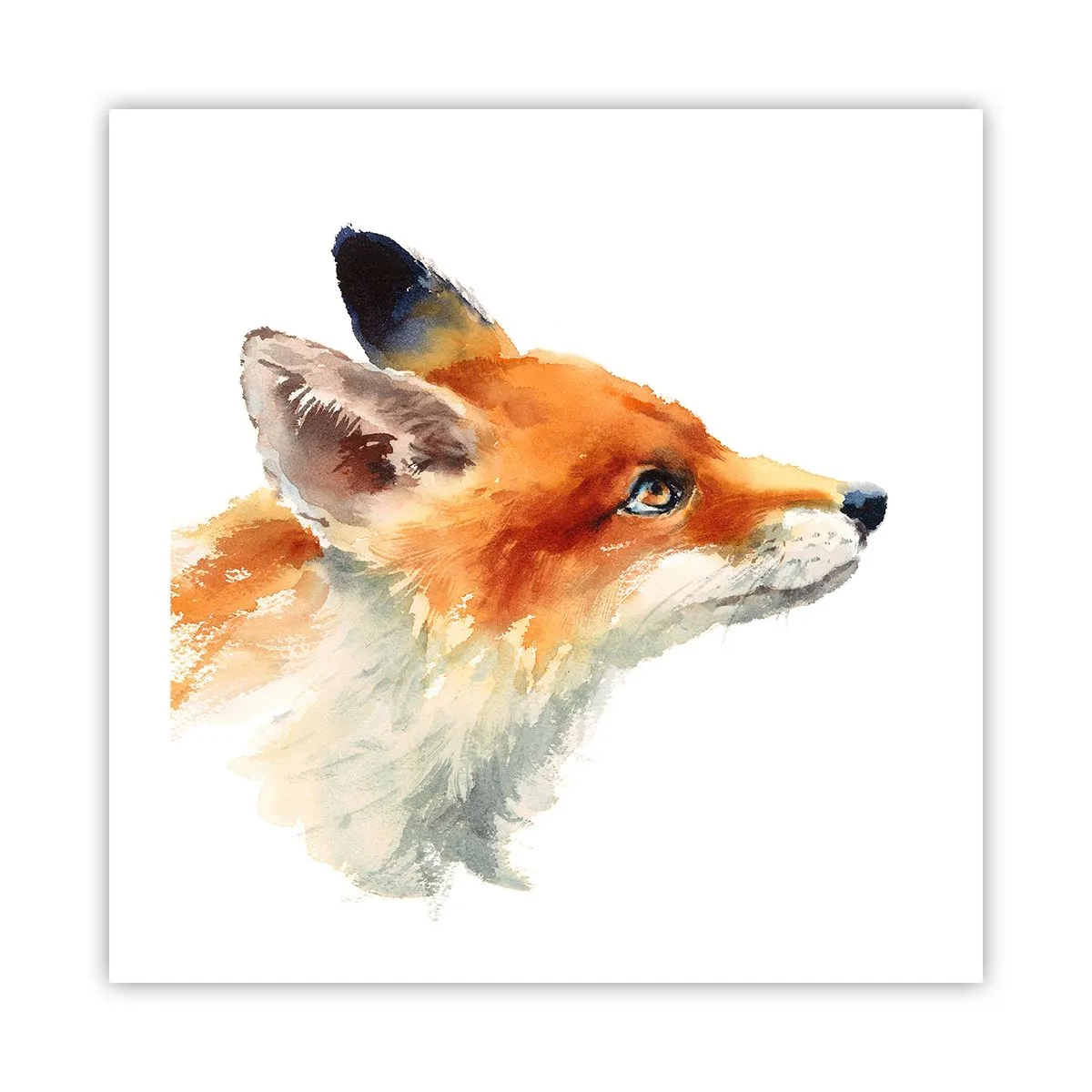 Poster - Man kann nie vorsichtig genug sein - 50x50 cm